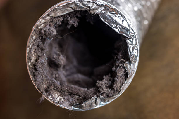Best Air Duct Cleaning Near Me  in Upper Brookville, NY